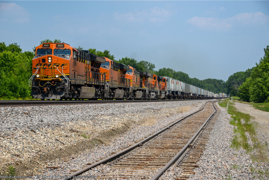 BNSF 3981